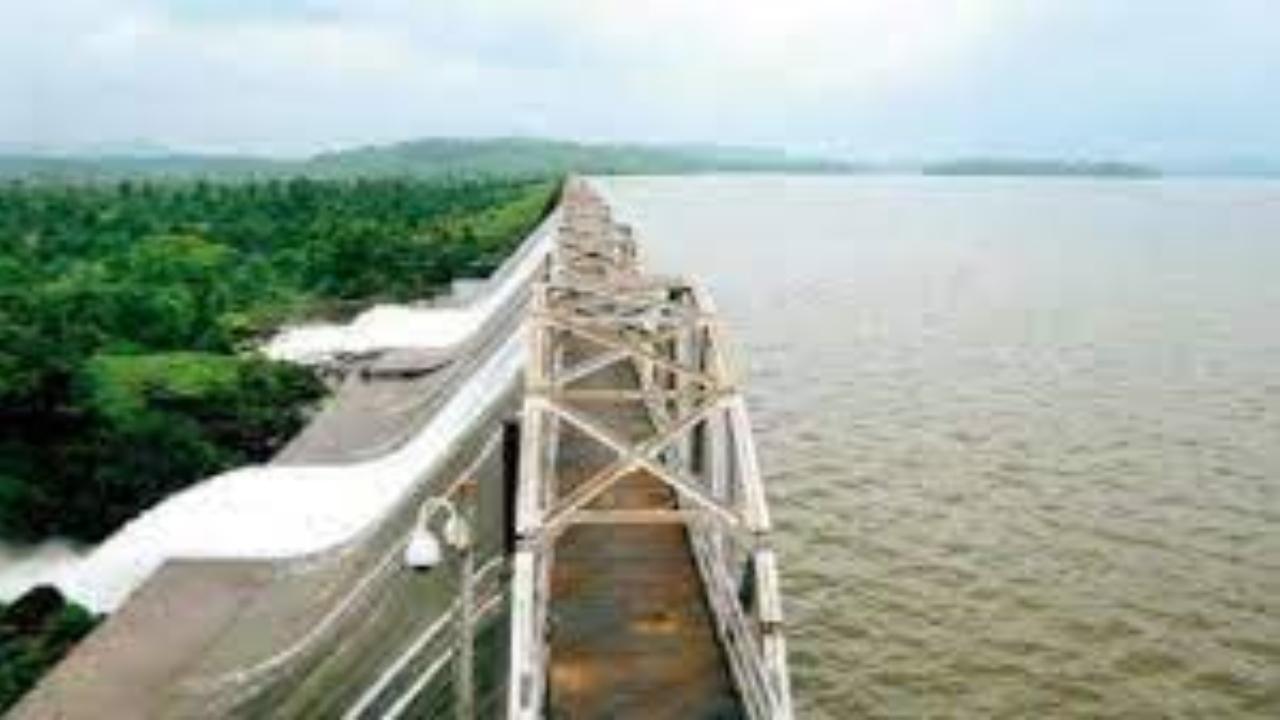 Modak-Sagar reservoir has a water stock availability of 99.06 per cent