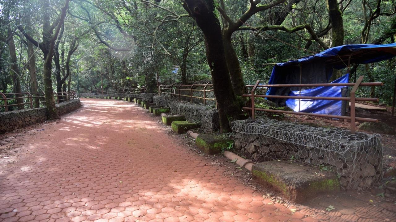 Matheran is an eco-sensitive zone, MMRDA considered all environmental concerns and suggestions provided by the Matheran Monitoring Committee (MMC), while undertaking the beautification work