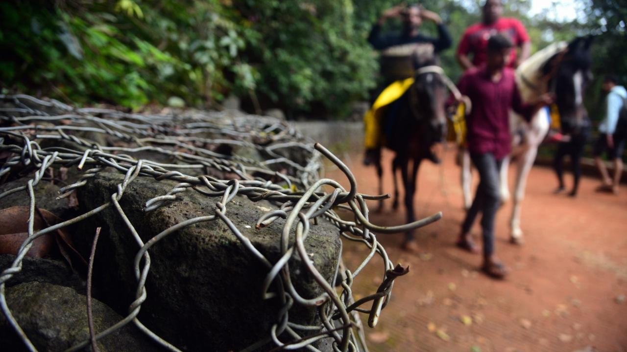 Dr Anil Lahane, a distinguished equine veterinarian, explained, “Metal wires popping out of walls along the road can cause puncture or lacerated injuries to horses or riders. Injuries to the eye may lead to partial or complete blindness. Injuries caused by metal wires would definitely require immediate surgical intervention”