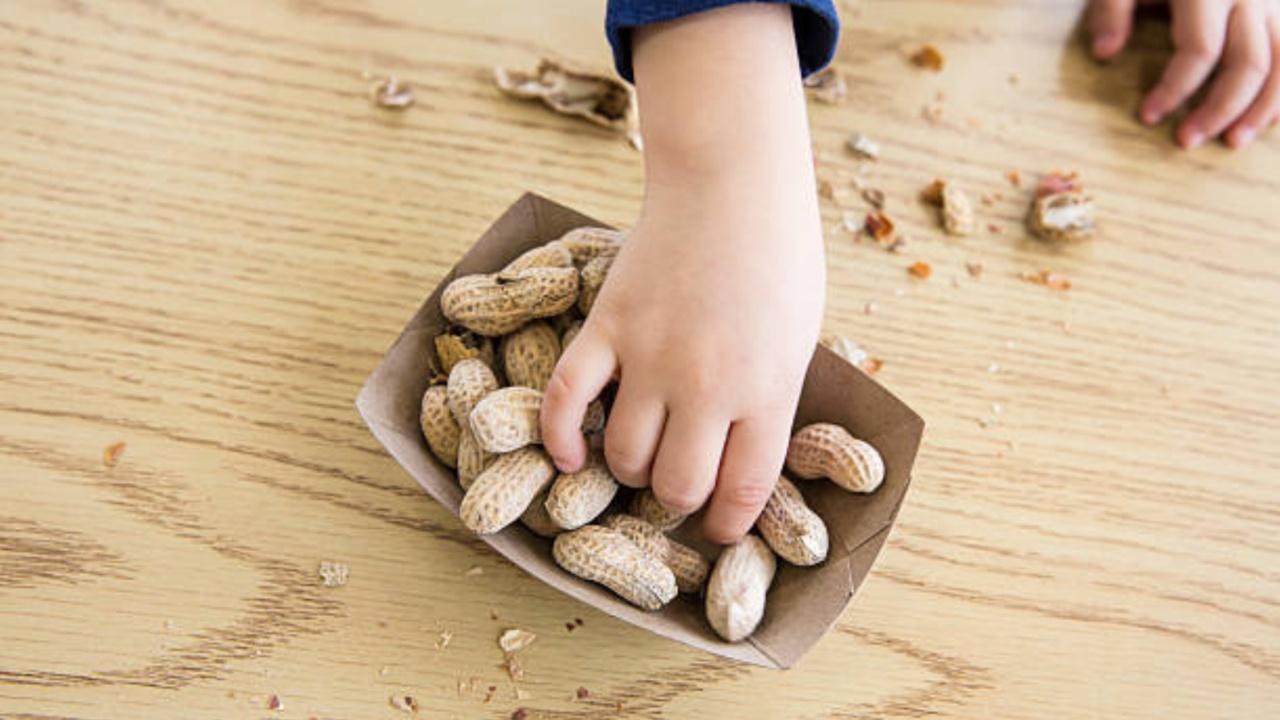 Protein therapy a safe approach to treat toddlers with peanut allergy: Study