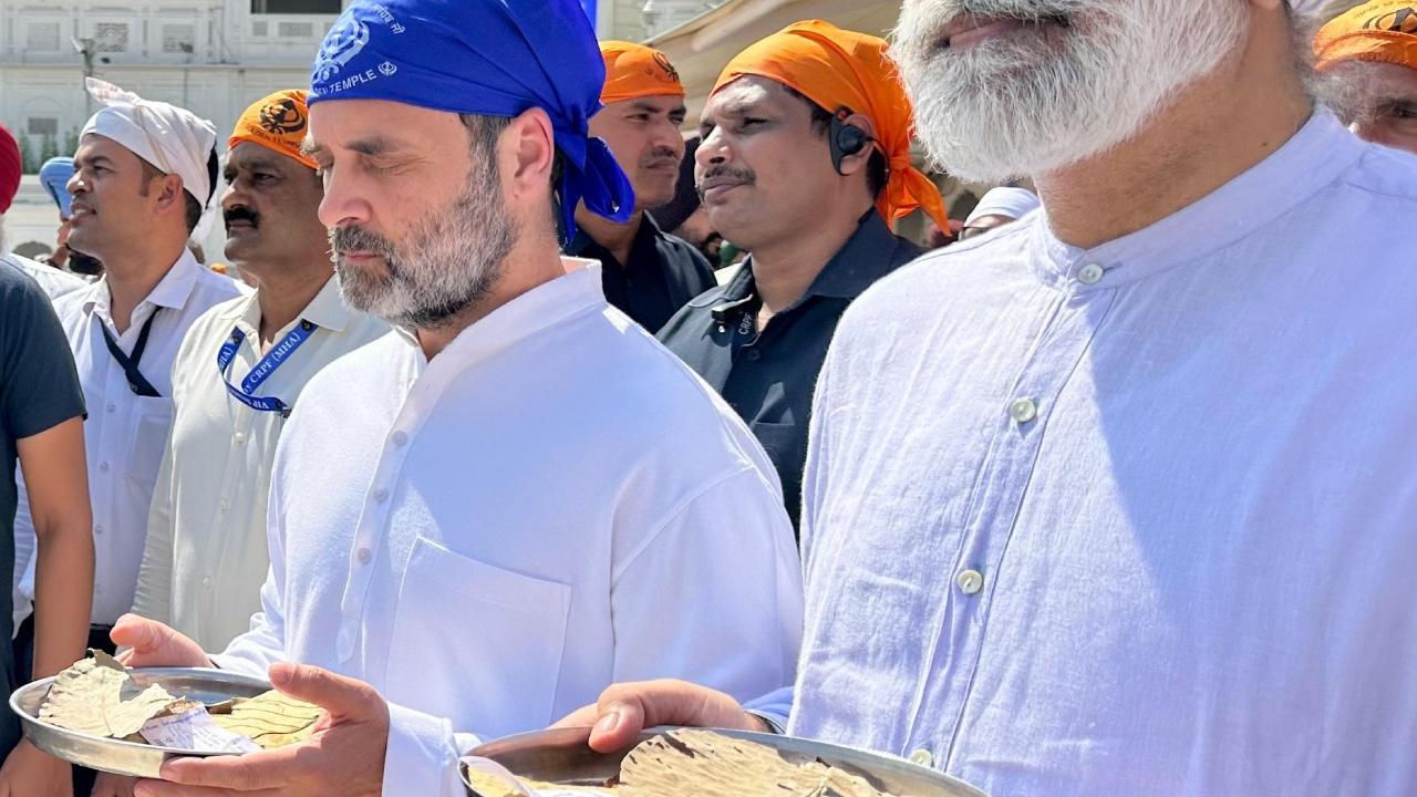 Rahul Gandhi offers prayers at the Golden Temple in Amritsar. Pics/PTI and Congress' X handle