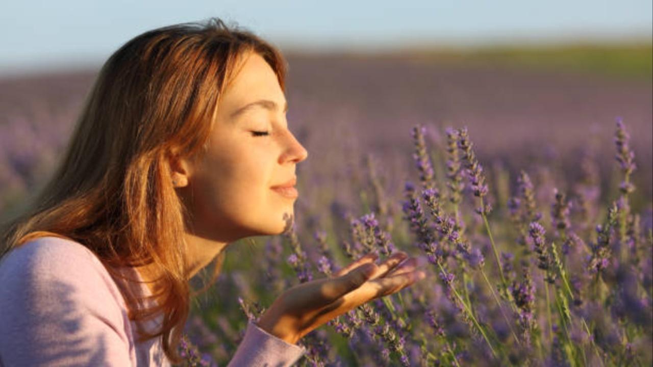 Study reveals how our sense of smell changes the colours we see