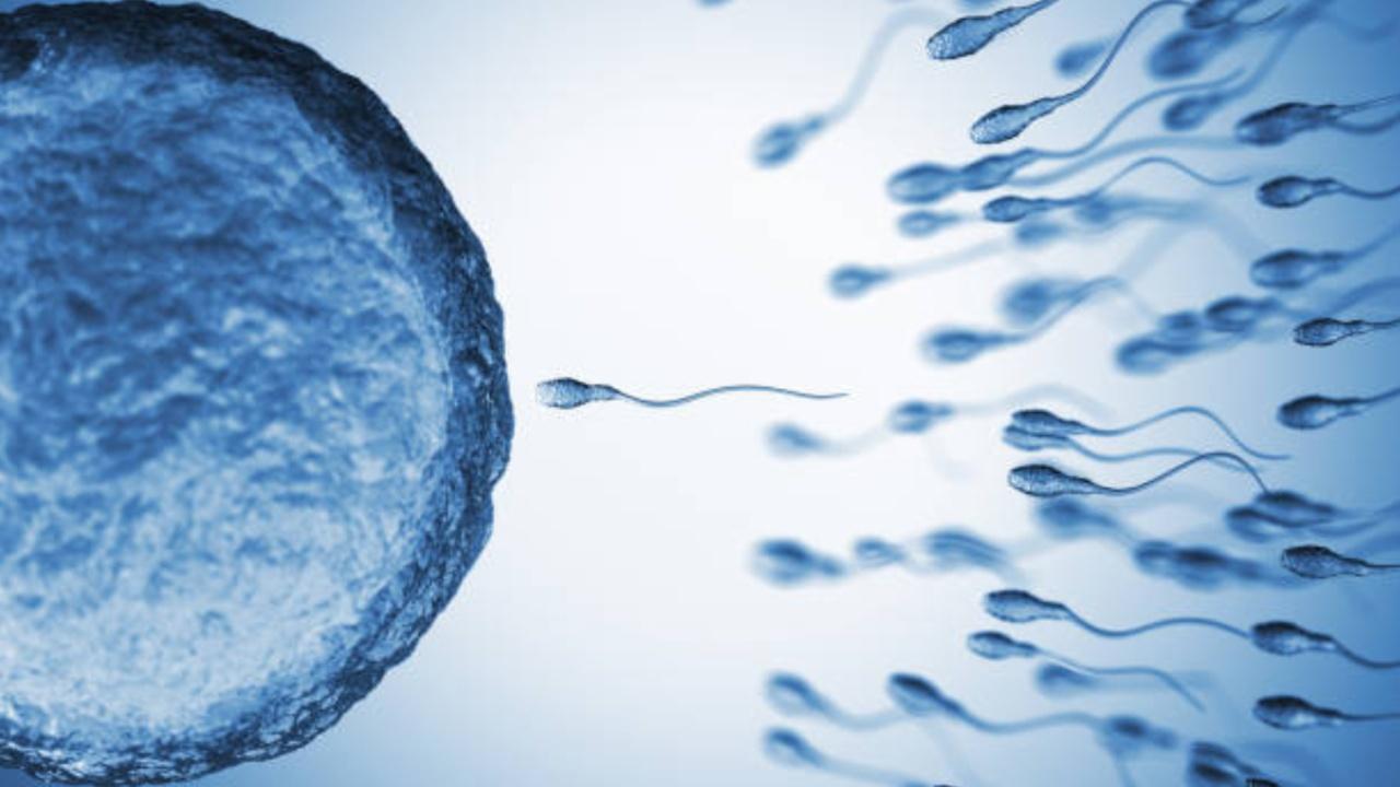 Lifestyle habits that can harm your sperm health and affect fertility