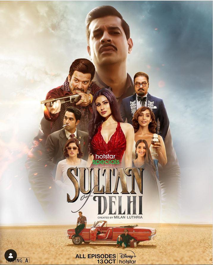 Sultan of Delhi (October 13) - Streaming on Disney+ HotstarA gripping crime thriller, Sultan of Delhi takes you back to the 1960s. Follow the journey of Arjun Bhatia in the world of Delhi's illegal arms trade, where power is up for grabs.