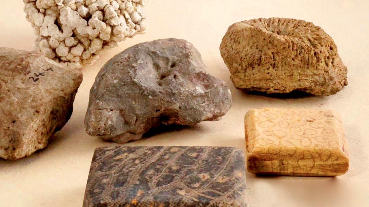 Earth’s treasures