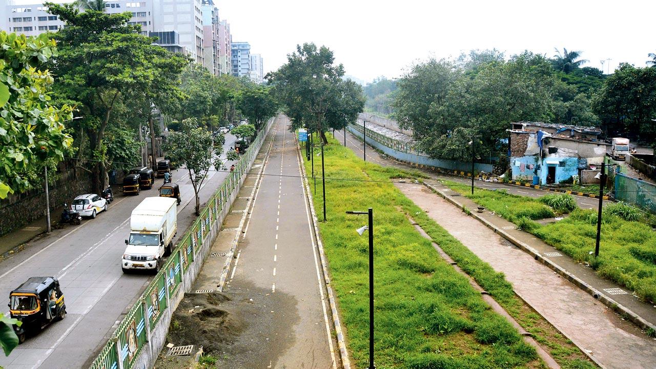 The five-kilometre cycle track between Ghatkopar and Sion. Pic/Sayyed Sameer Abedi