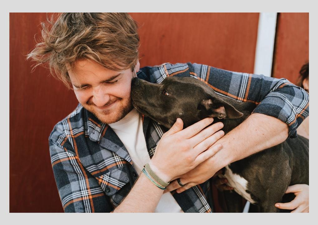 4 Ways You Can Set Yourself Up For Success When Adopting a Pet