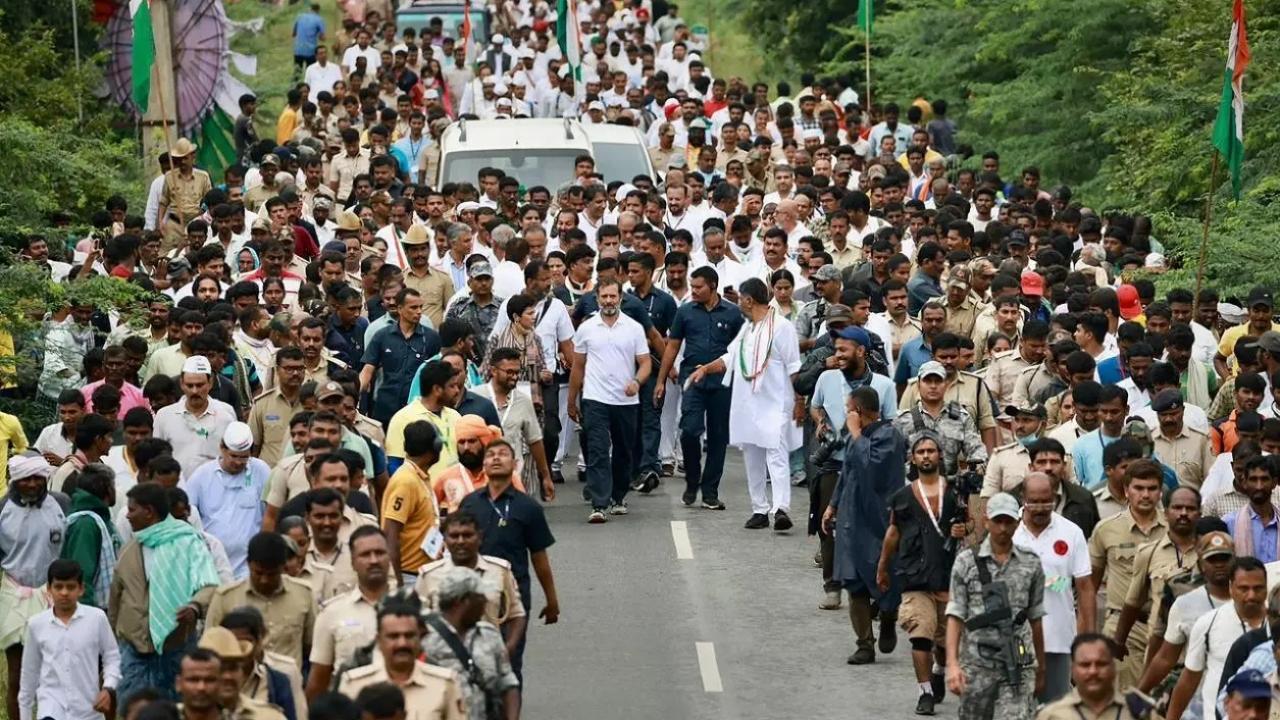 Congress to hold yatras at district level to mark first anniversary of Bharat Jodo Yatra: Sources