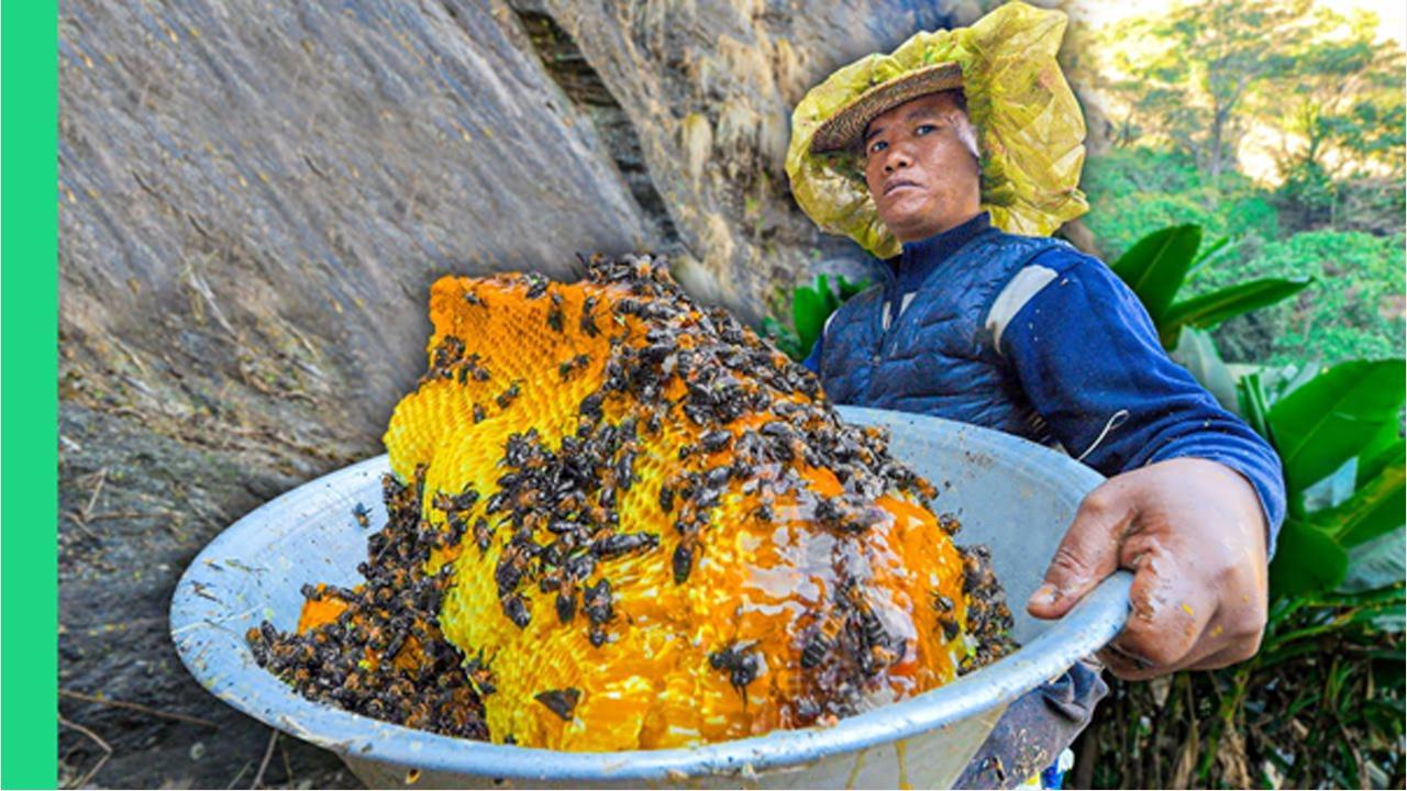 Ecotourism and Mad Honey: Balancing Exploration with Conservation
