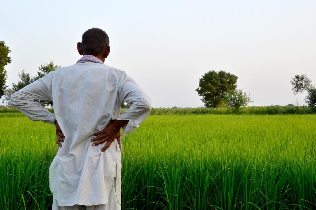 Probe launched after 180 people enrol for crop insurance on industrial land