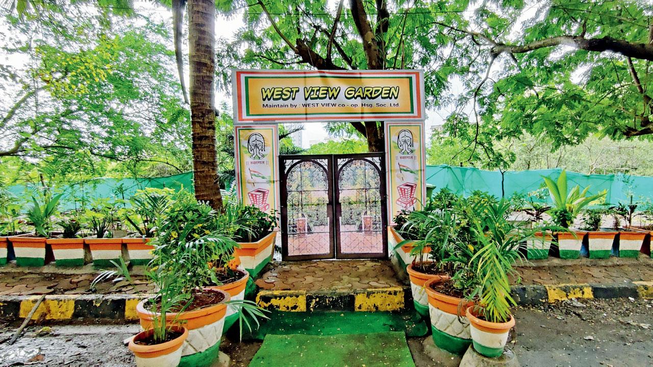 The garden that  was allegedly set up after cutting mangroves on government land. Pics/Nimesh Dave