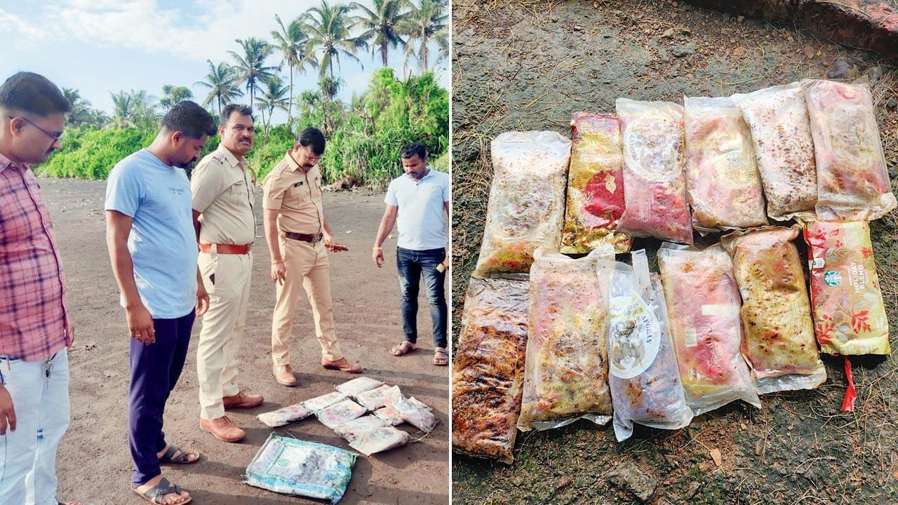 Navi Mumbai: How one arrest led to seizure of 500 kg charas along coast Navi Mumbai: How one arrest led to seizure of 500 kg charas along coast