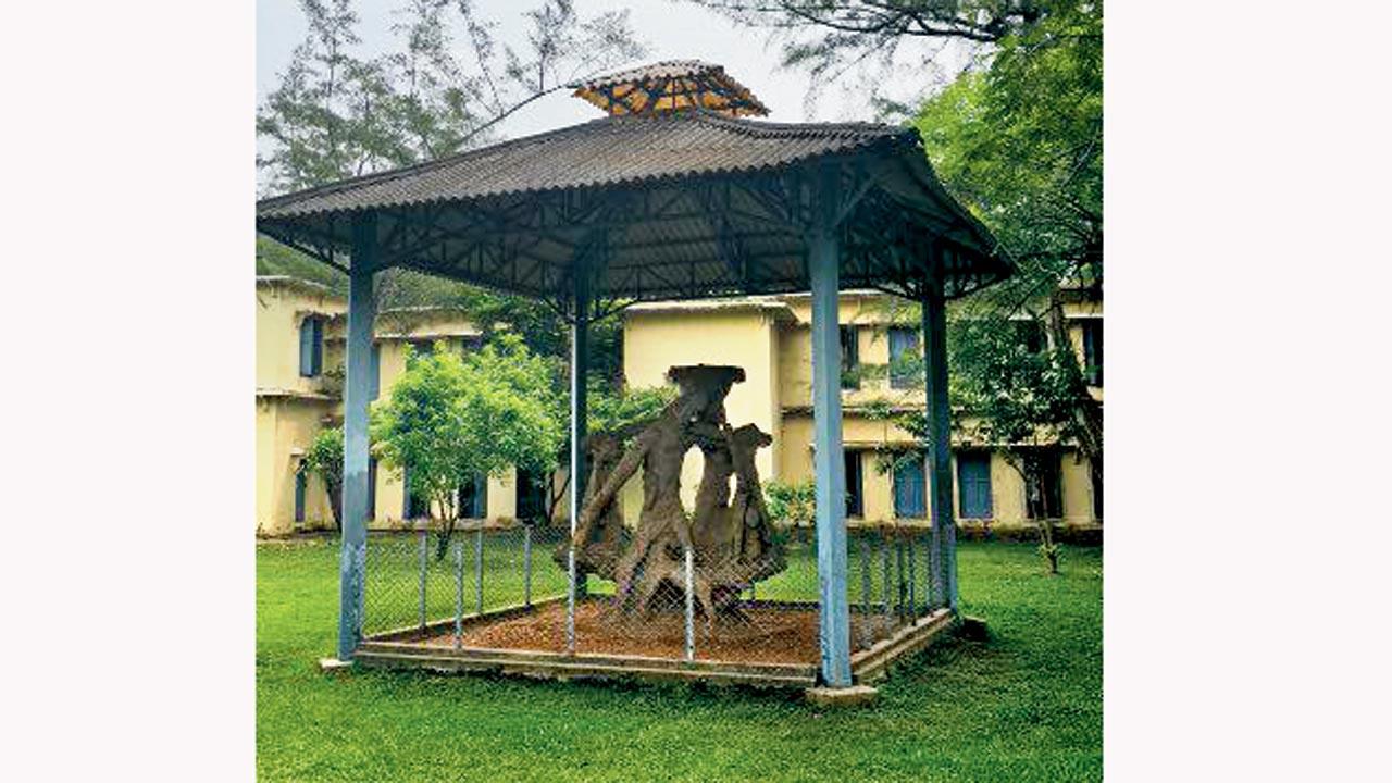 The Santhal Family made by the artist Ramkinkar Baij in 1938, is the first modernist public sculpture in India, currently placed in the compound of Kala Bhavana in Shantiniketan