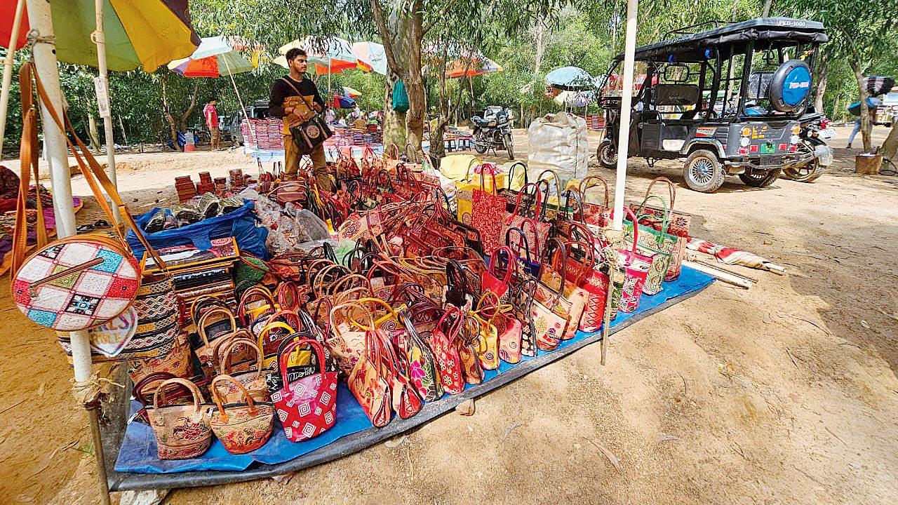 Handmade jewellery, leather and handloom bags, embroidered sarees, wicker chairs, spiced and pickled wood apples, and guavas are sold at the Sonajhuri haat