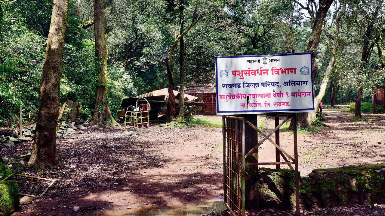 Neglected and shuttered, the government veterinary clinic in Matheran fails to offer the essential care that these magnificent creatures deserve