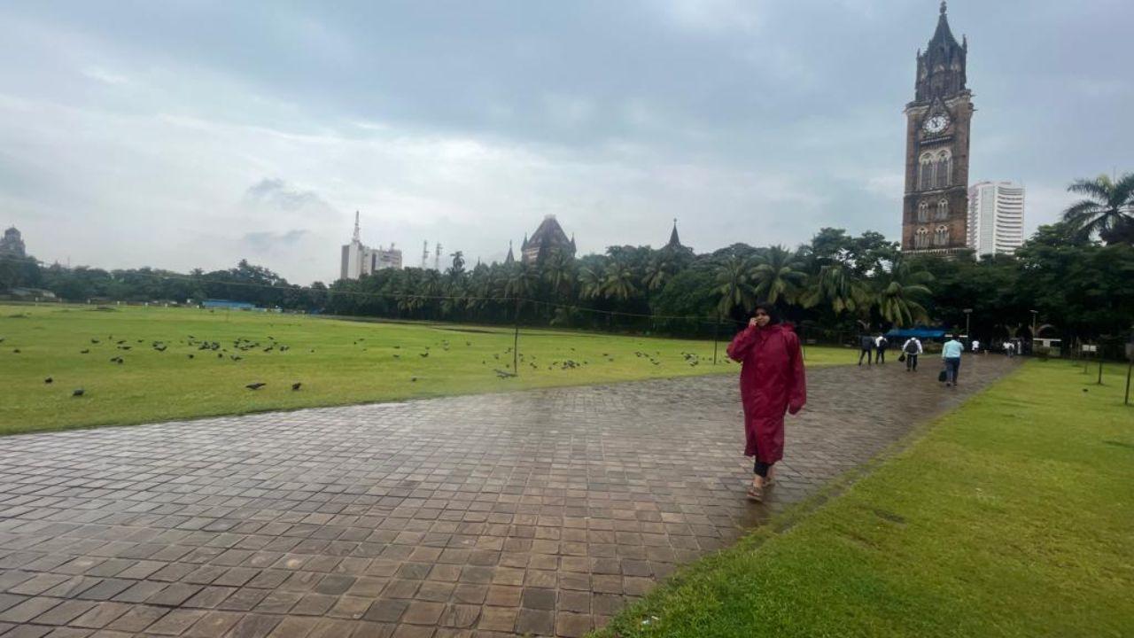 The Oval Maidan which is usually bustling with people practicing sports was rather empty and covered in green grass as it rained over the city.