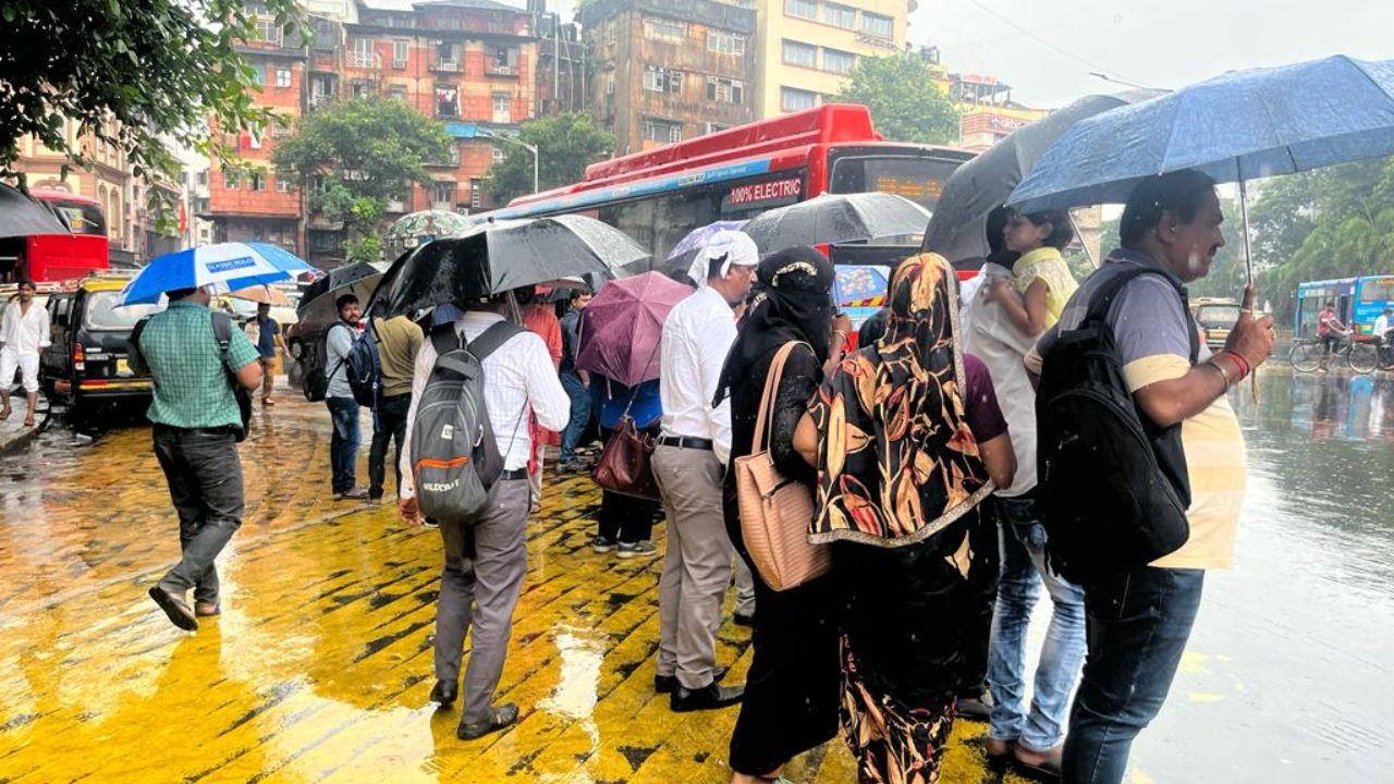 The commuters who were caught unawares with the showers used handkerchiefs and saree’s pallu (lose end of the saree) to safeguard themselves.