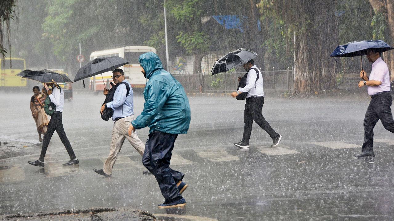 Maharashtra: Rain to be back from today!