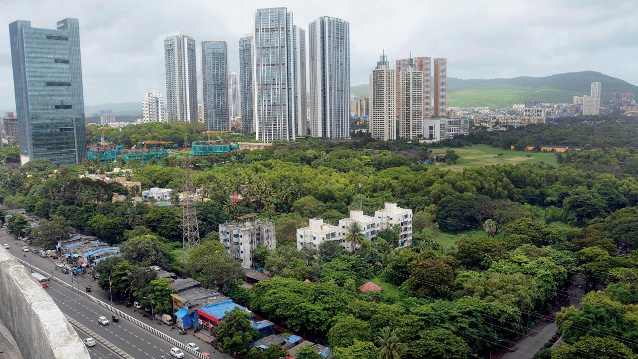 A view of Aarey colony from the WEH at Goregaon on July 19, 2020. File pic/Satej Shinde