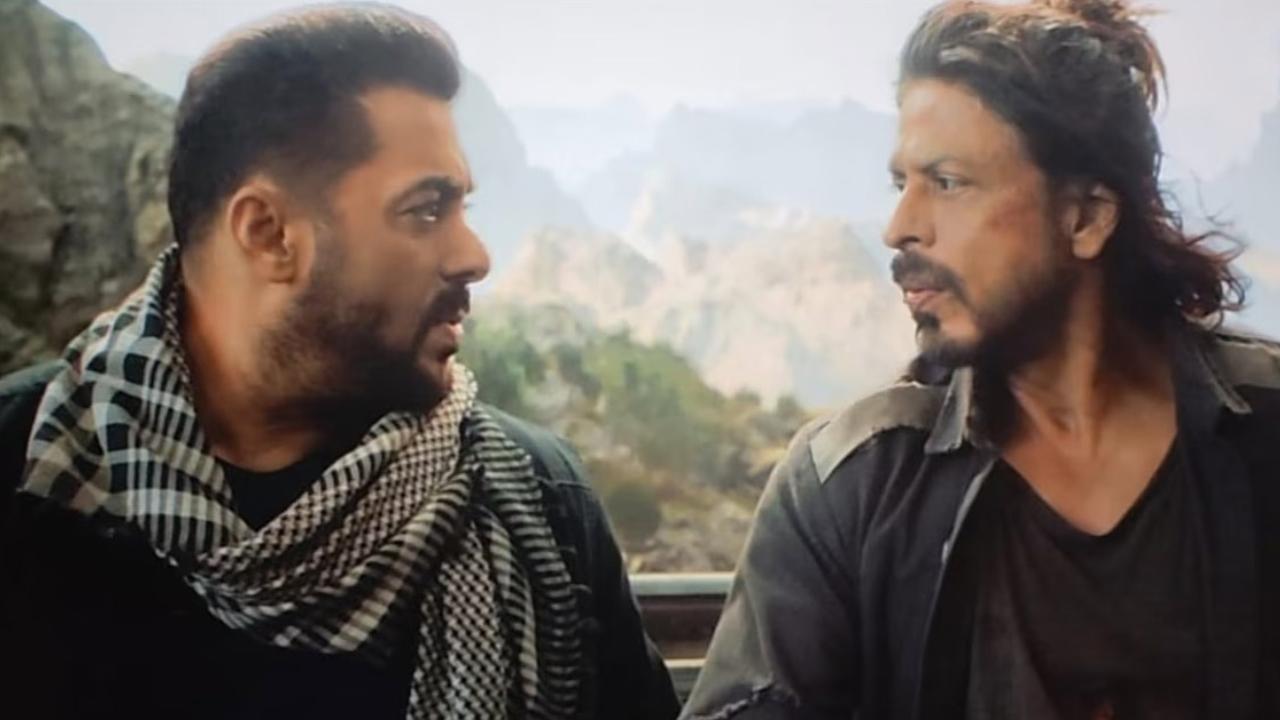 Shah Rukh Khan confirms his cameo in Salman Khan's Tiger 3 during #AskSRK?