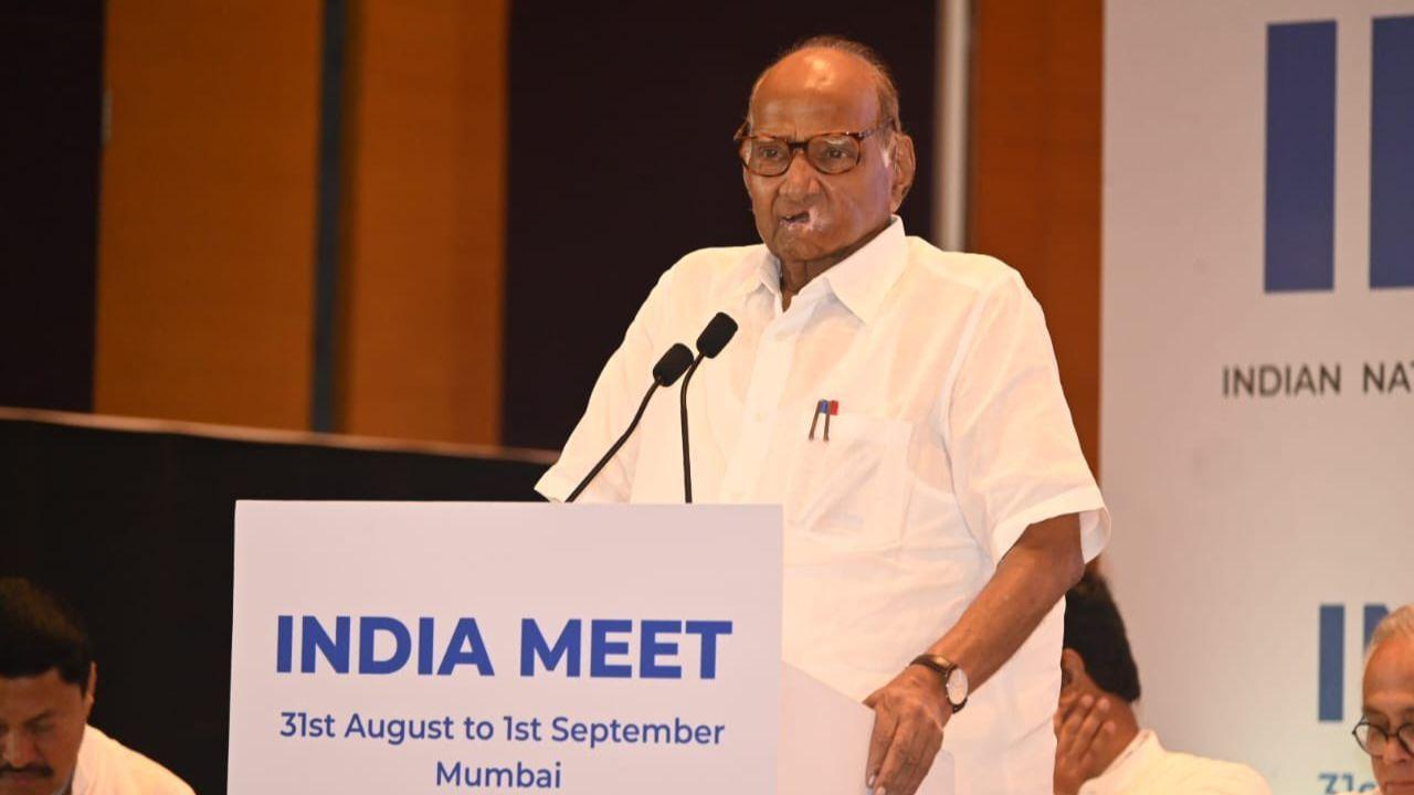 NCP Chief Sharad Pawar assures harmony among INDIA bloc ahead of state polls