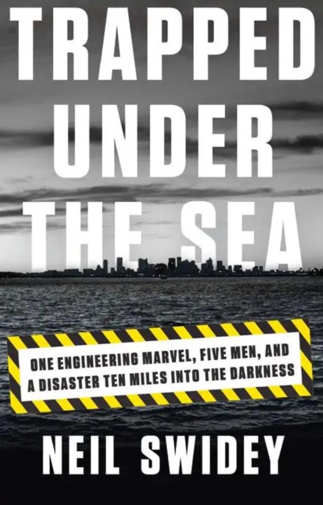 A different style of writing, in the sense that it is more narrative than instructional, this book still gives an intense glimpse into the world of engineering
