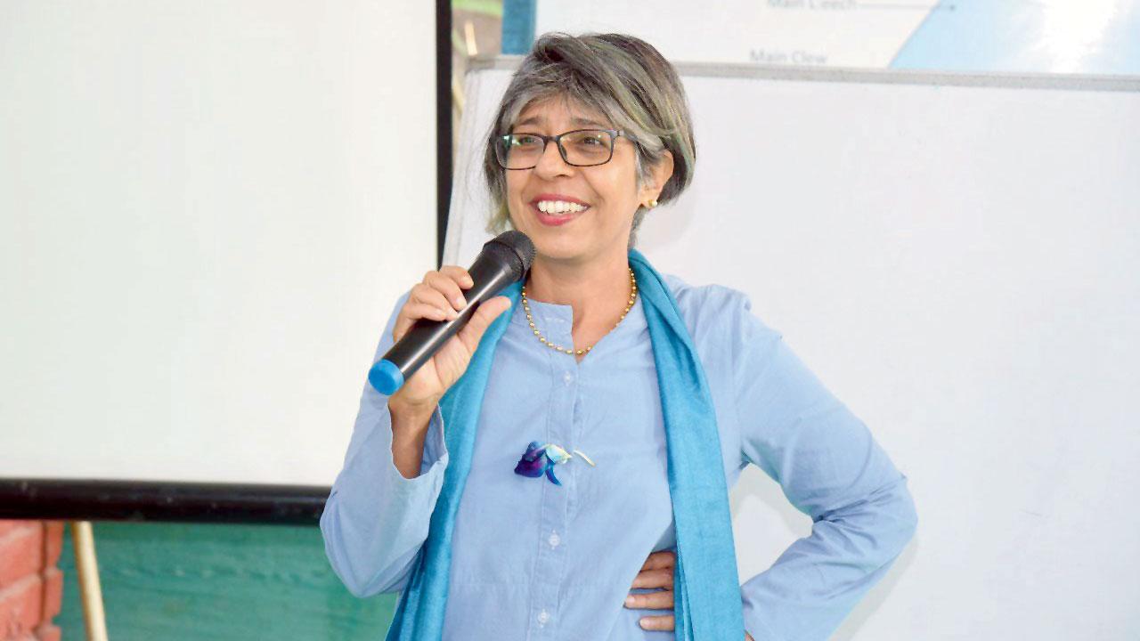 Zia Hajeebhoy