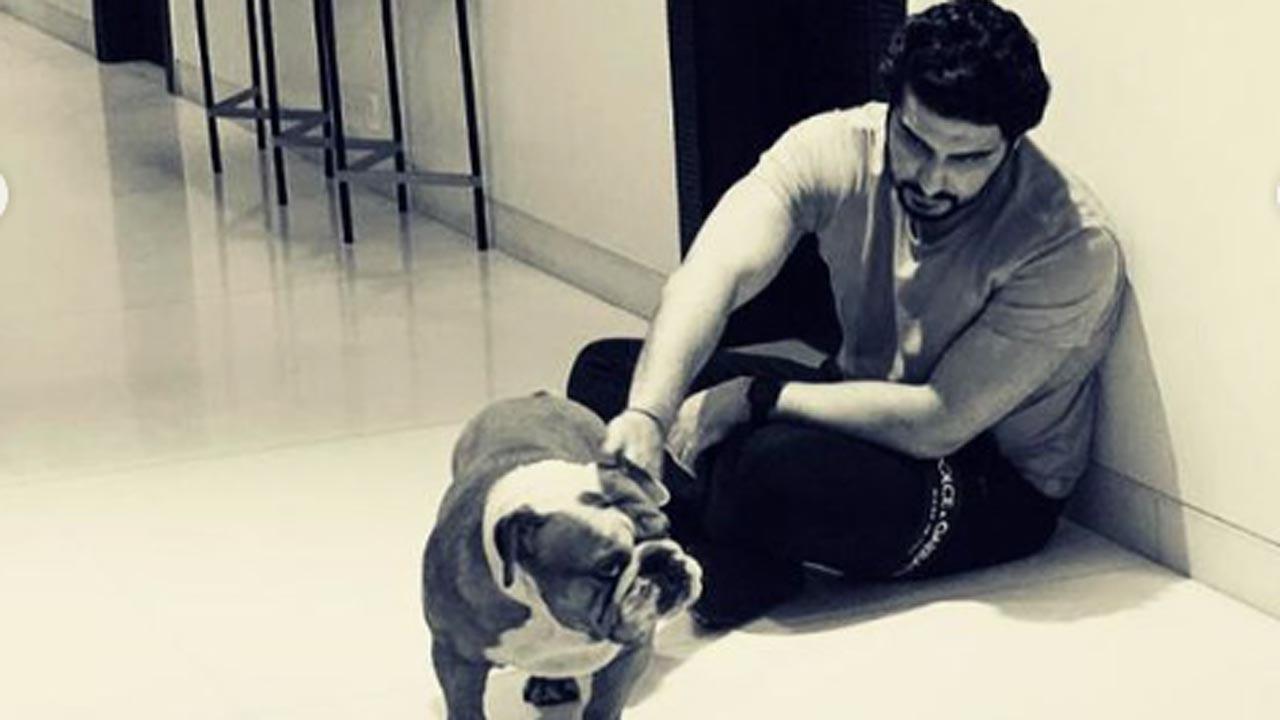1280px x 720px - I don't know how to sit at home: Arjun Kapoor pens emotional note after  death of his pet 'Maximus'