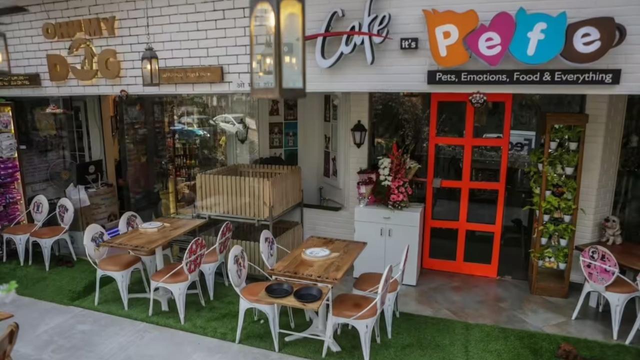 3-pet-friendly-cafes-in-mumbai-you-can-visit
