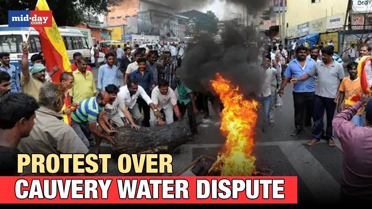 Cauvery Water Dispute: Karnataka, Tamil Nadu farmers stage protests 