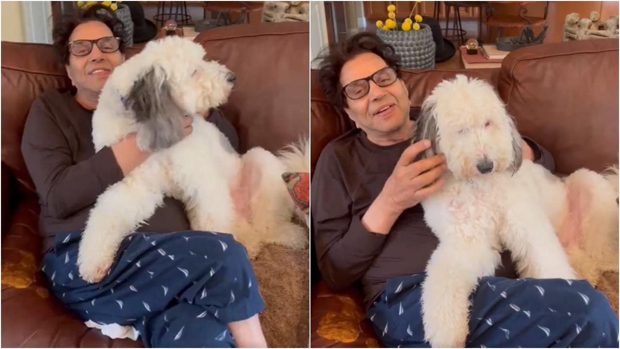 Dharmendra quashes reports of seeking medical treatment in the US, shares video with his 'loving pet'