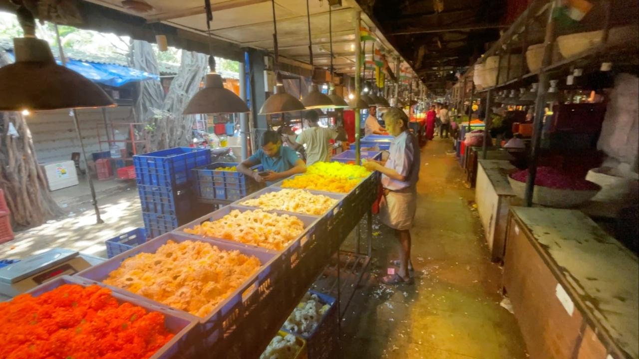 Floral shops adorn the streets of Dadar and fill up the air with fragrance. While Hibiscus holds deep significance for Ganesha’s worship, one can find a bunch of roses, lilies and rajnigandha at throwaway prices