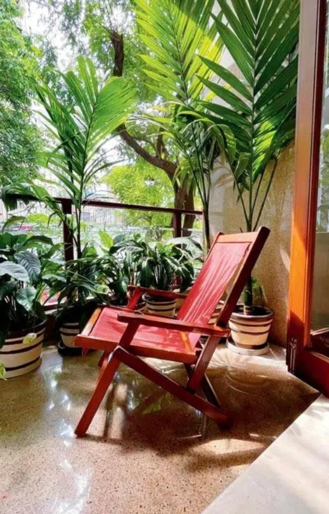 Handbook to start your home garden