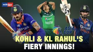 Ind Vs Pak Asia Cup 2023: Fans celebrate India's record break win against Pak