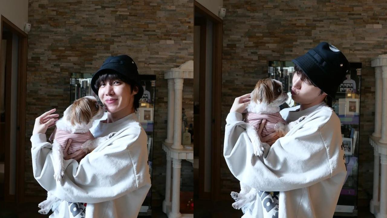 BTS: J-Hope's longtime anonymous aid towards dog shelter surfaces on social media, touches ARMYs' hearts