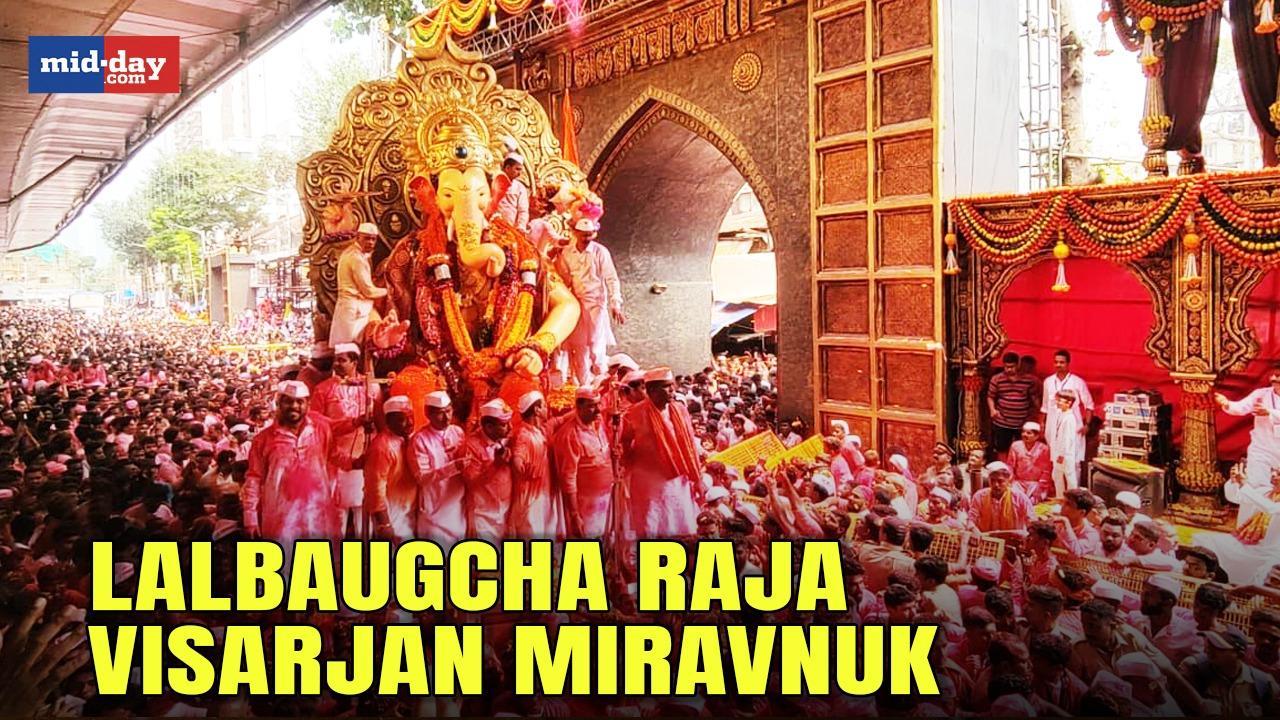 Ganpati Visarjan 2023: Lalbaugcha Raja immersion procession begins in Mumbai