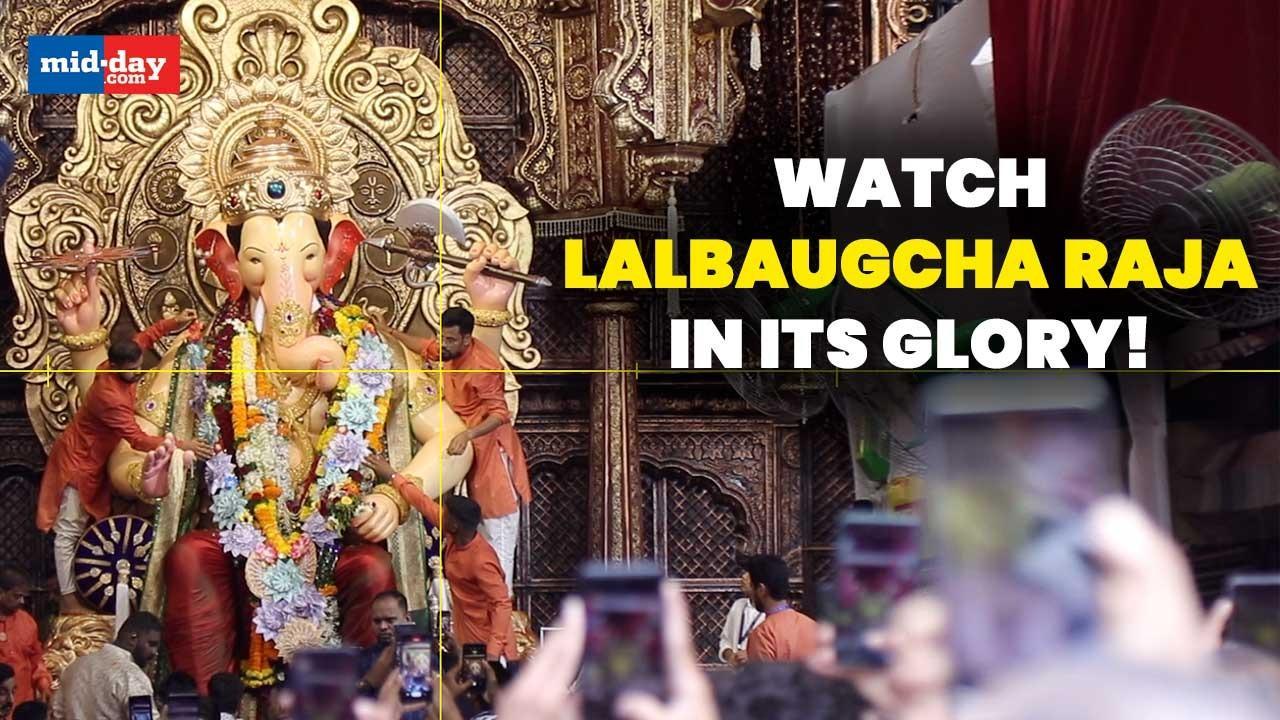 Ganesh Chaturthi 2023: Here is why Lalbaugcha Raja is known as Navsacha Ganpati