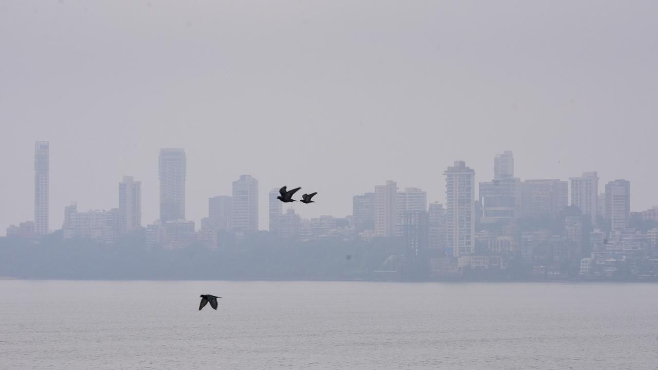 The Modak Sagar lake, one of the seven lakes that supply water to Mumbai, started overflowing on July 27 at 10.52 pm, the civic body said. Earlier on July 20, the Tulsi lake overflowed following heavy rains in the city and suburbs