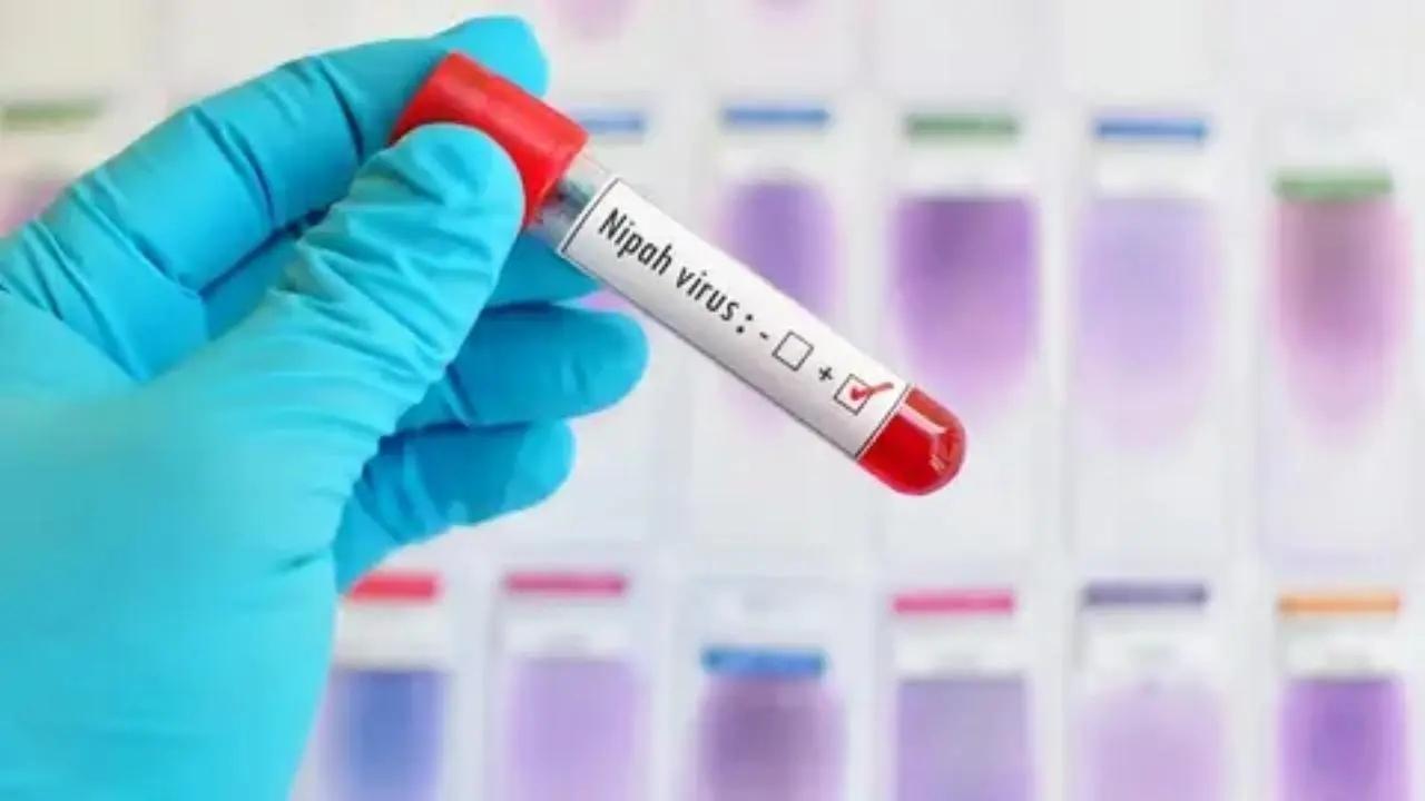 Nipah virus: ICMR permits Kerala to conduct Truenat portable tests