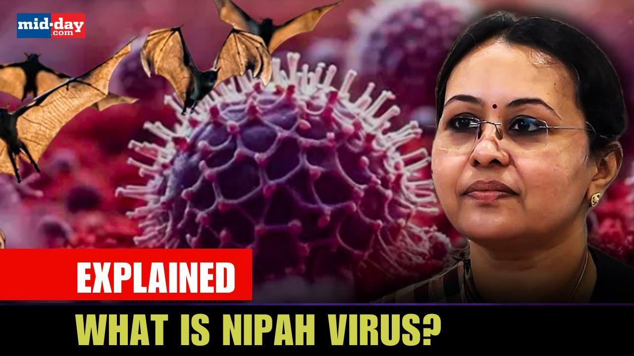 The Nipah Virus situation in Kerala explained