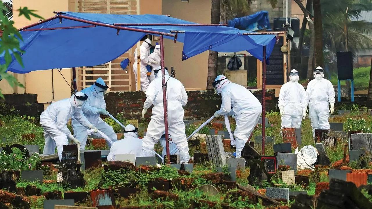 IN PHOTOS: Everything you should know about the lethal Nipah virus from Kerala