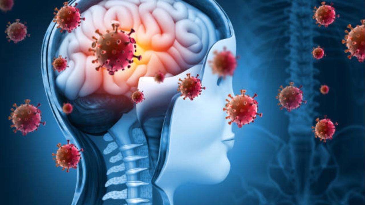 Explained: What is the rare, brain-damaging virus that is spreading in Kerala?