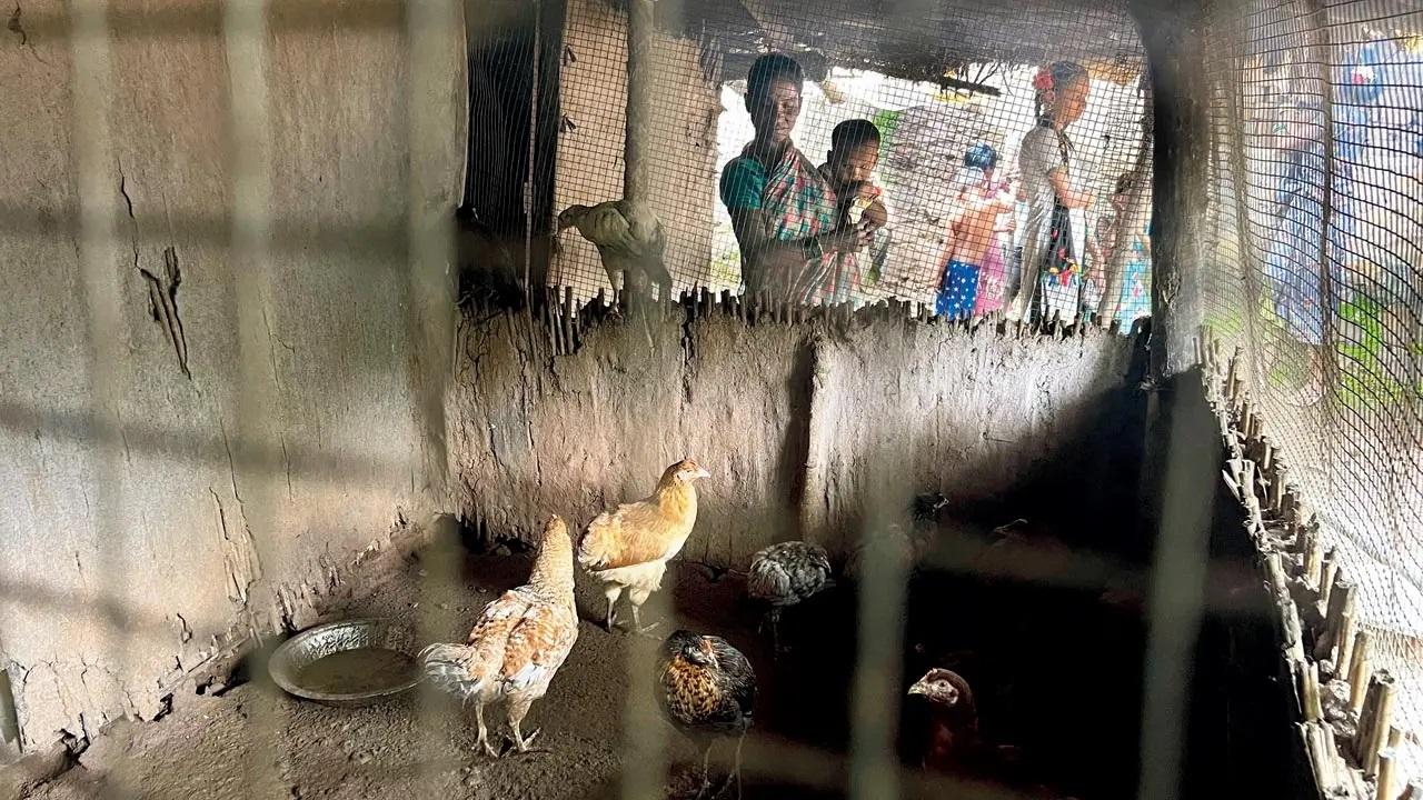 Nandgaon villager Kamal Lokhande’s two-year-old son Vinay has been diagnosed with severe acute malnutrition. She doesn’t get  enough rations to feed either her children or her poultry. “We are all starving,” she says