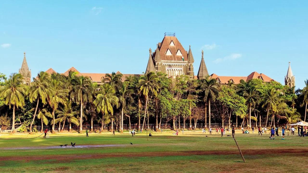 Mumbai: In modern society, burden of household work should be borne equally by couple, says Bombay HC