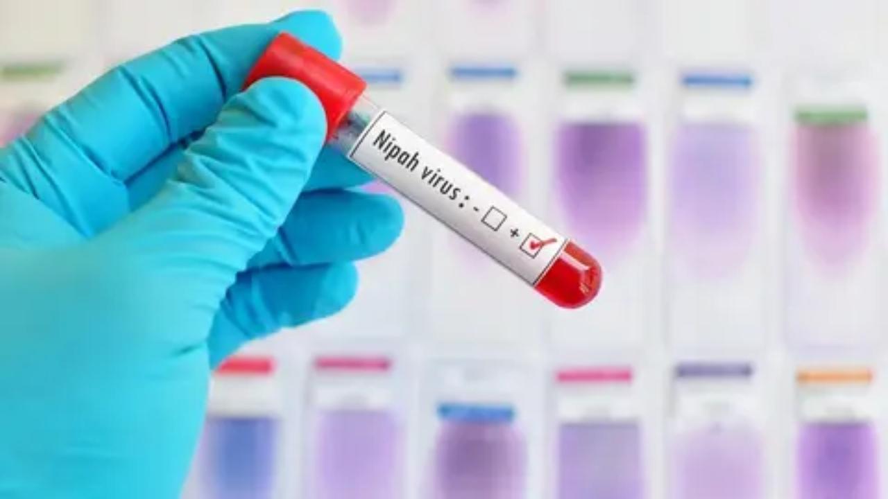 India to procure 20 more doses of monoclonal antibody from Australia for Nipah treatment: ICMR DG