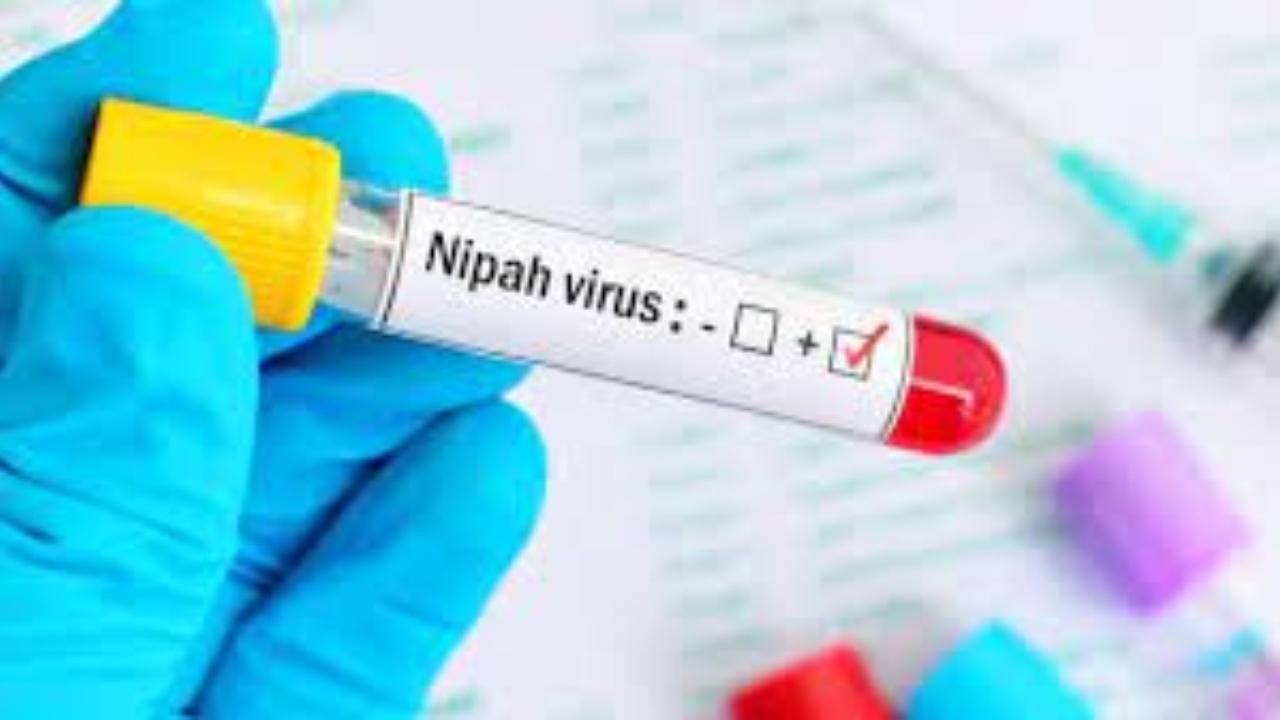 Nipah virus: Case against man for posting fake news on social media