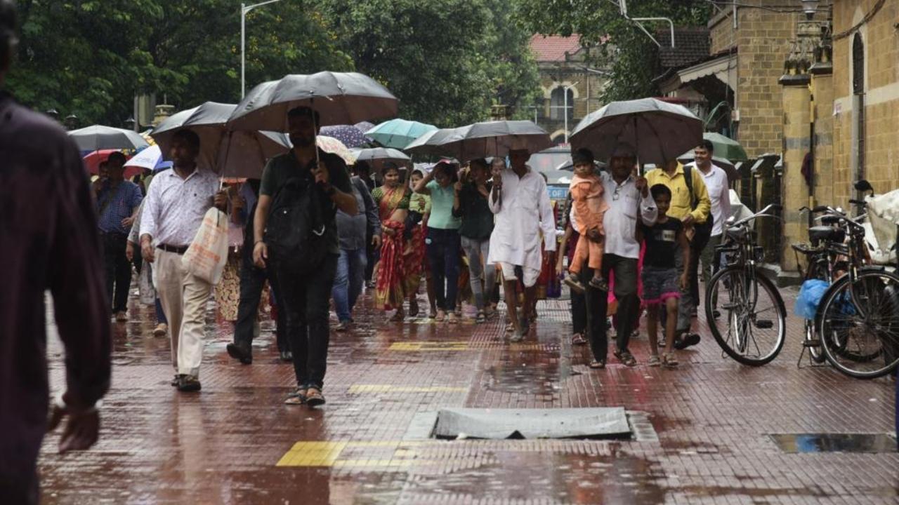 Mumbai received light to moderate rainfall on Friday Pic/Atul Kamble