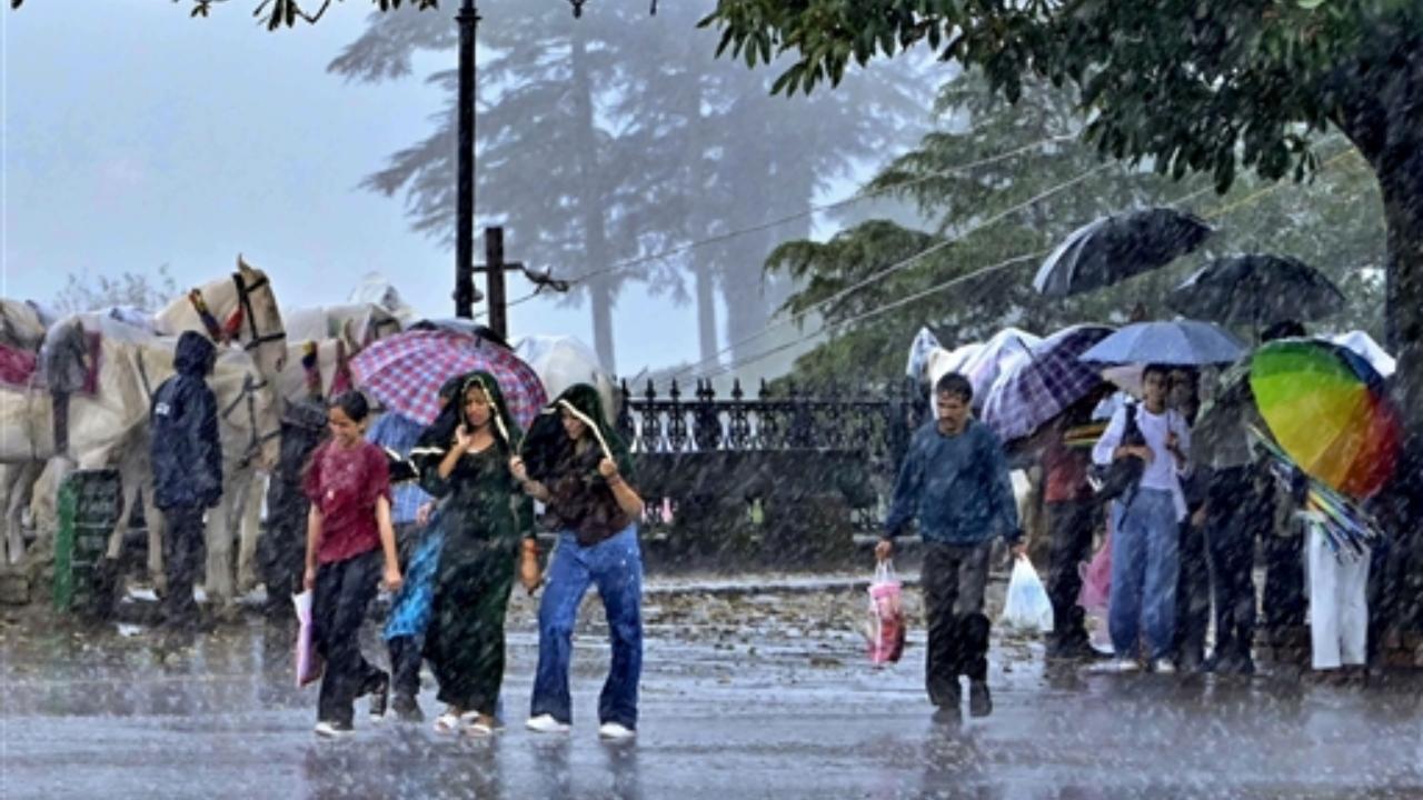 People amid monsoon rainfall at The Ridge, in Shimla