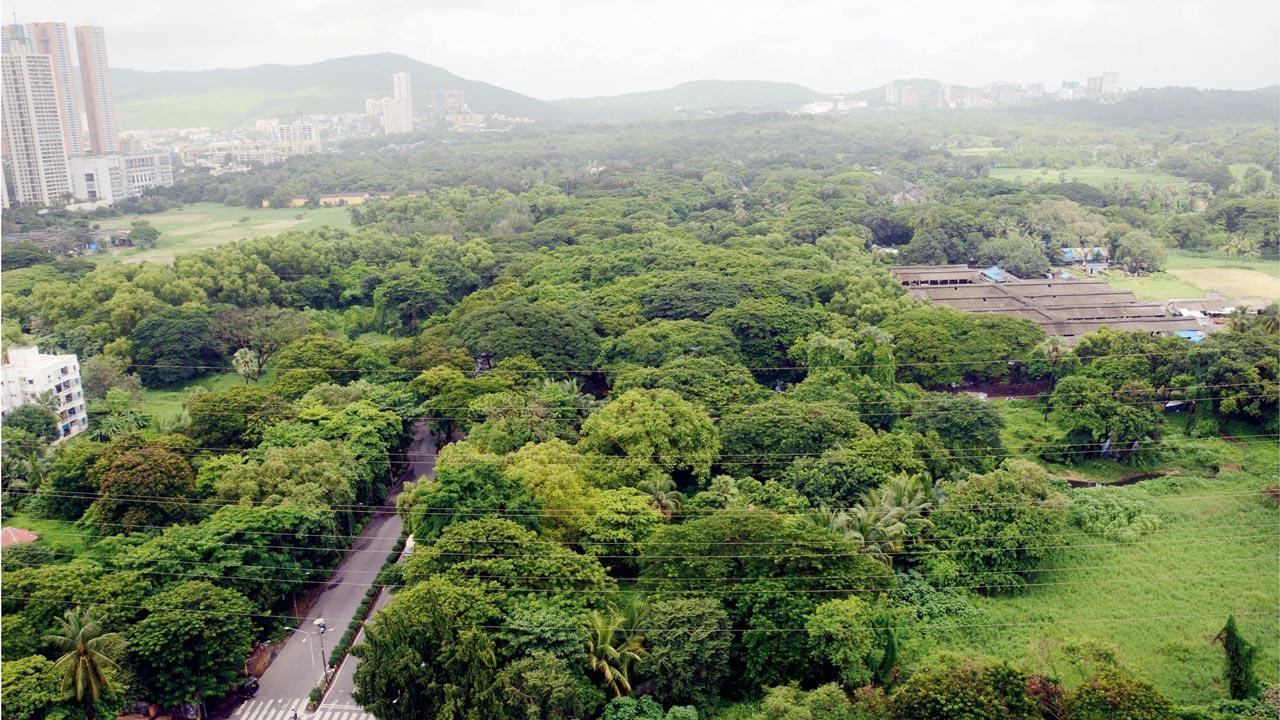 MSHRC summons forest dept principal secretary, civic chief, over Aarey patch
