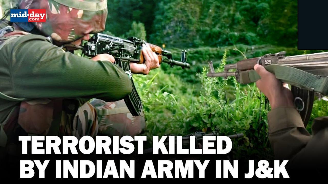 Indian Army neutralised terrorist in J&K, search operations underwway